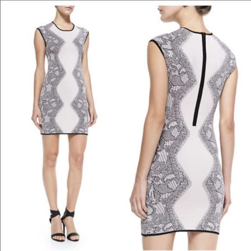 Parker Alexander Nude Black Knit Lace Slimming Body Con Mini Dress M